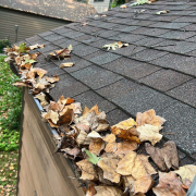 debris in gutters scaled 2
