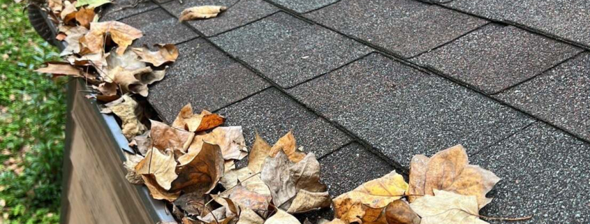 debris in gutters