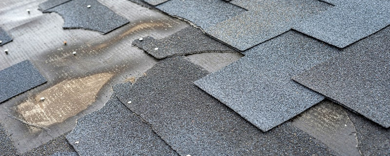 Roof Granule Loss Explained: Common Causes and Red Flags for Homeowners in the Mid-Atlantic 1 Damaged shingle roof