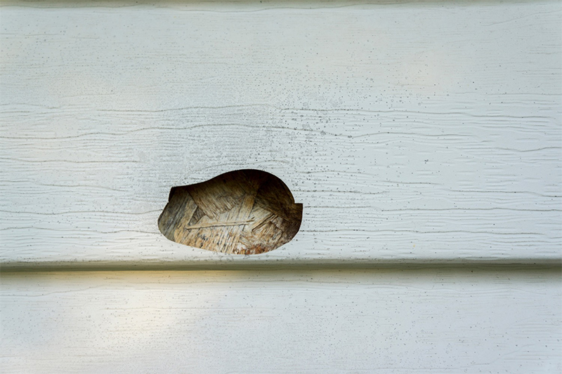 hole in siding