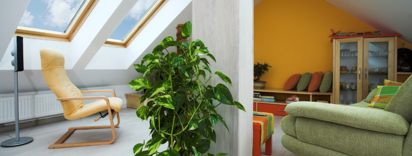 skylight natural light