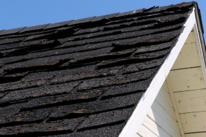 What we found: curling and lifted asphalt shingles