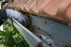 Cleaning a gutter out by hand