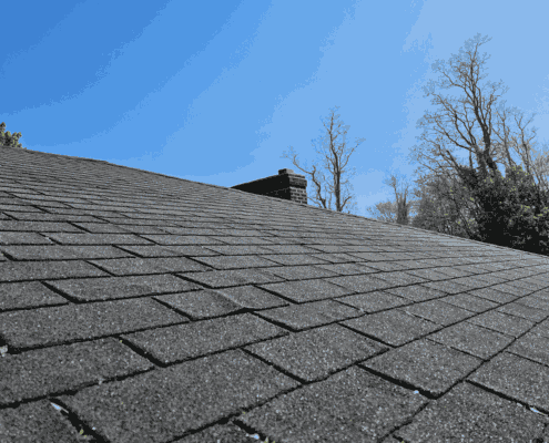 A comparison of asphalt shingles vs architectural shingles, showcasing their different styles.