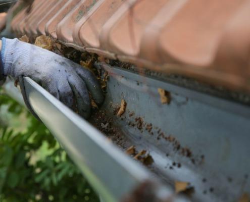 gutter-cleanout