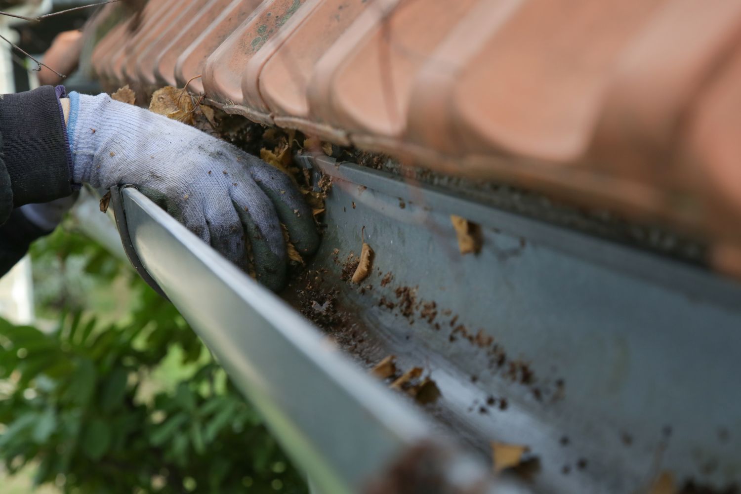 gutter-cleanout