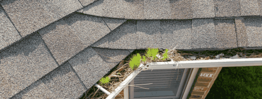 A schedule showing the frequency of gutter cleanings.