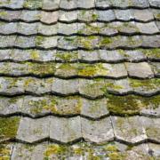 Weathered asphalt shingle roof with algae and moss growing in the joints, Ocean City MD