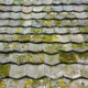 Weathered asphalt shingle roof with algae and moss growing in the joints, Ocean City MD