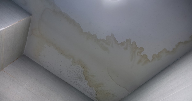 What’s That Stain on My Bathroom Ceiling?