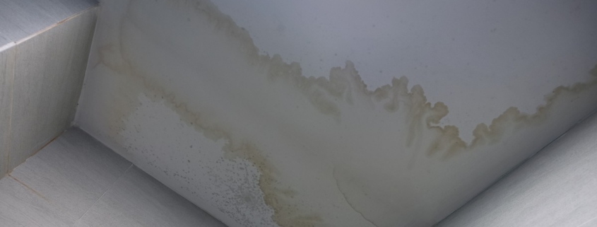 Brown water stain spreading across a bathroom ceiling corner