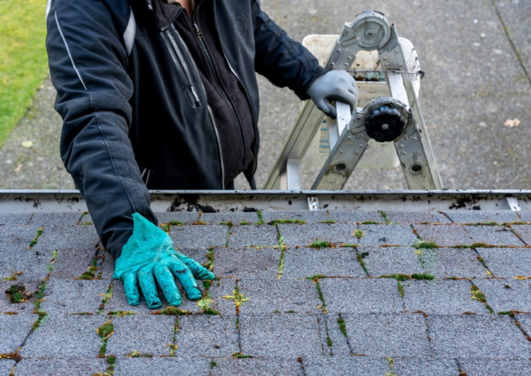 Should You Repair or Replace Your Roof? A Guide for Cambridge Homeowners